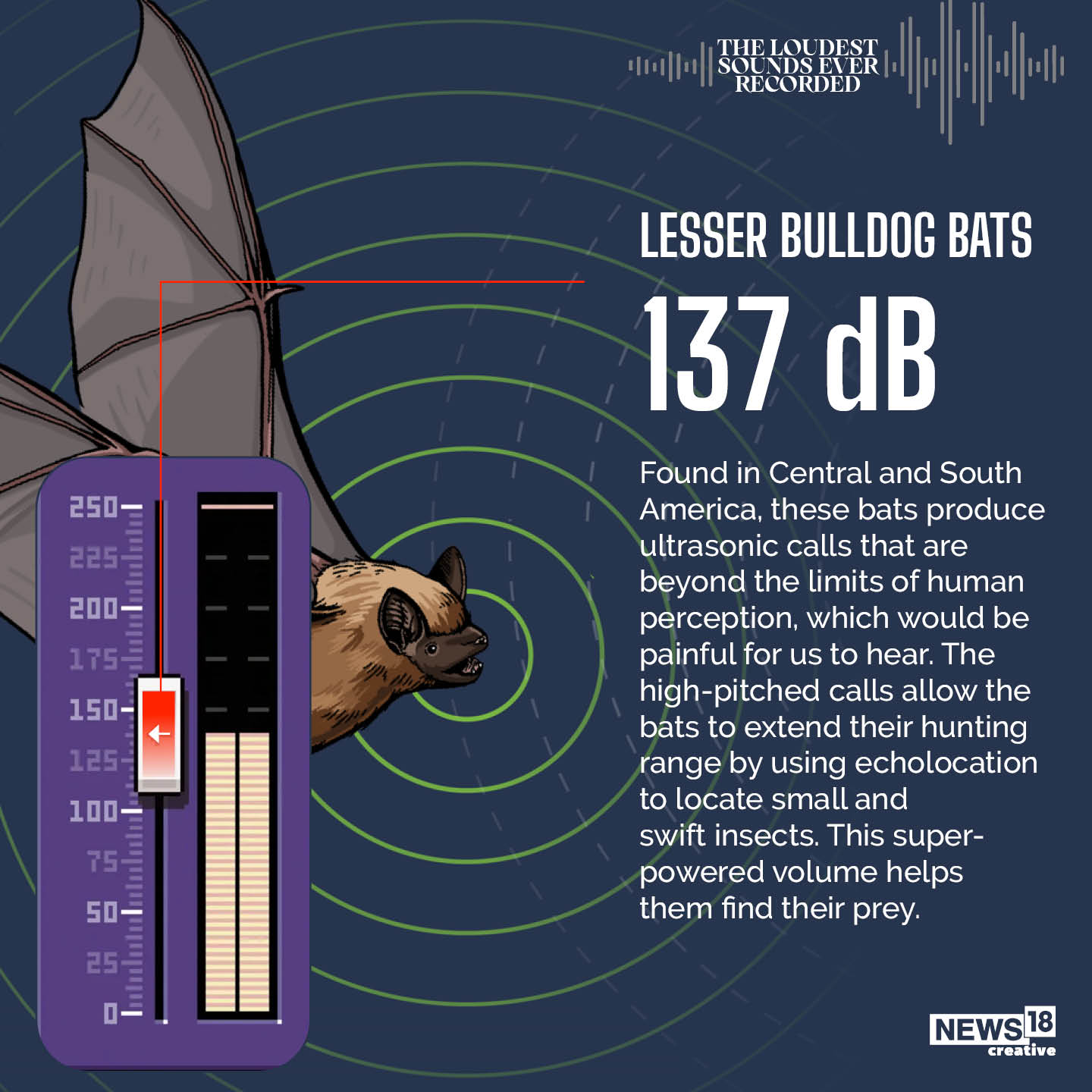From Meteor Explosions to Rocket Launches A Look at Loudest Sounds Ever Recorded In GFX News18