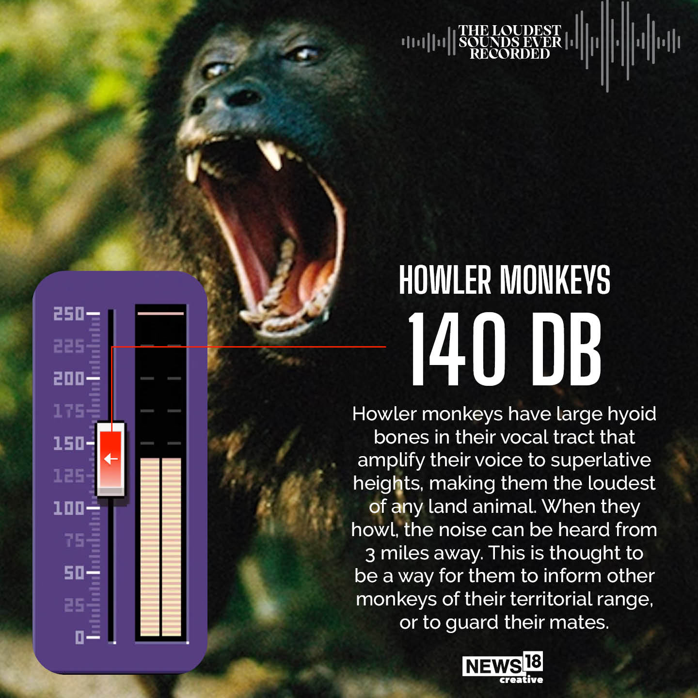 From Meteor Explosions to Rocket Launches A Look at Loudest Sounds