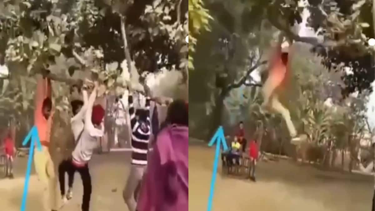 5 Out of 6 Friends Hanging on a Tree Suddenly Leave Branch, Here’s What Happens Next