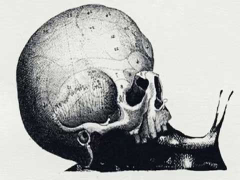 Take This Optical Illusion to Clear Doubts on Your Career Choice - Vimarsana News