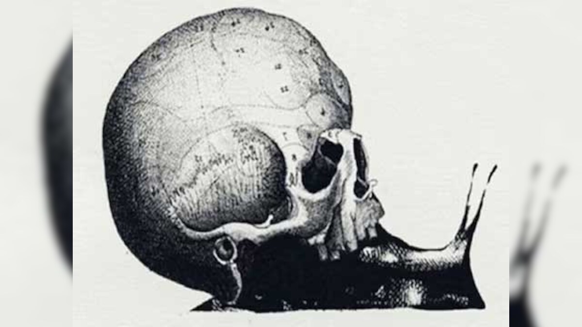 Have You Chosen The Right Career Path? Take This Viral Optical Illusion