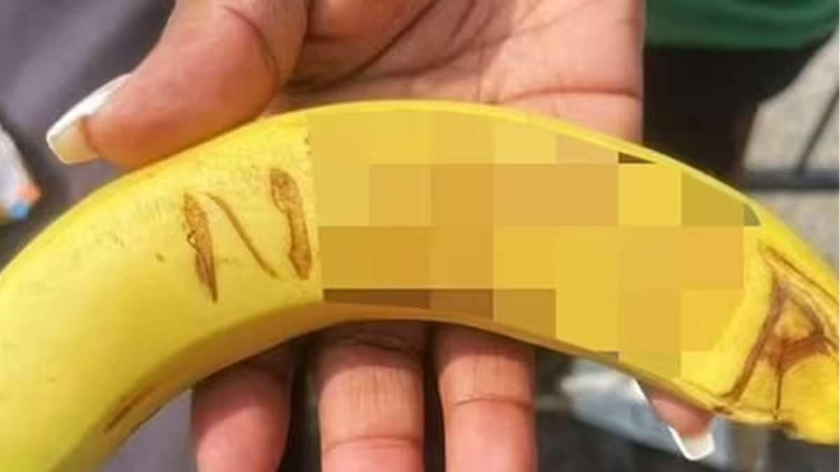 African-American Family Shocked After Banana With Racial Slur Thrown at Them