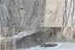 Snow Leopard’s High-Speed Hunt Downhill Goes Viral On Twitter, Watch It Here