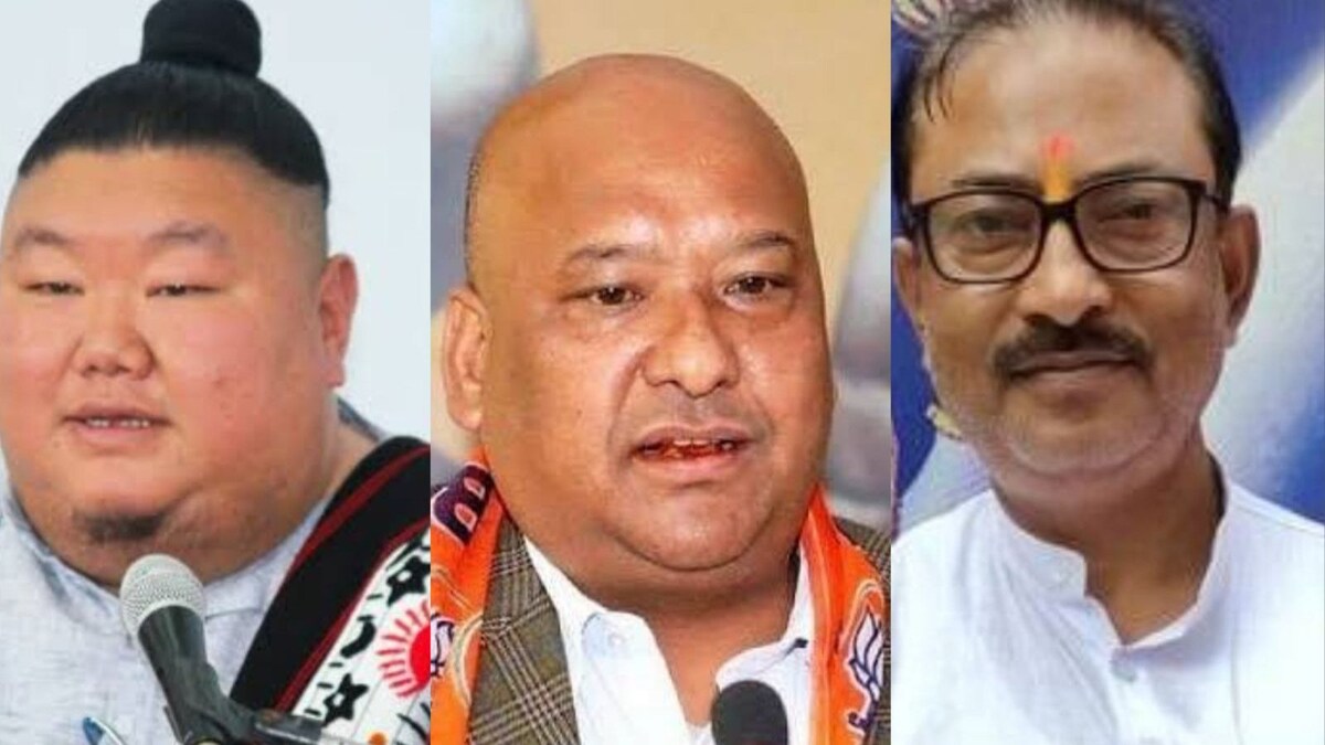 BJP State Chiefs Face Defeat in Meghalaya, Tripura; Social Media Star Temjem Imma Wins in Nagaland