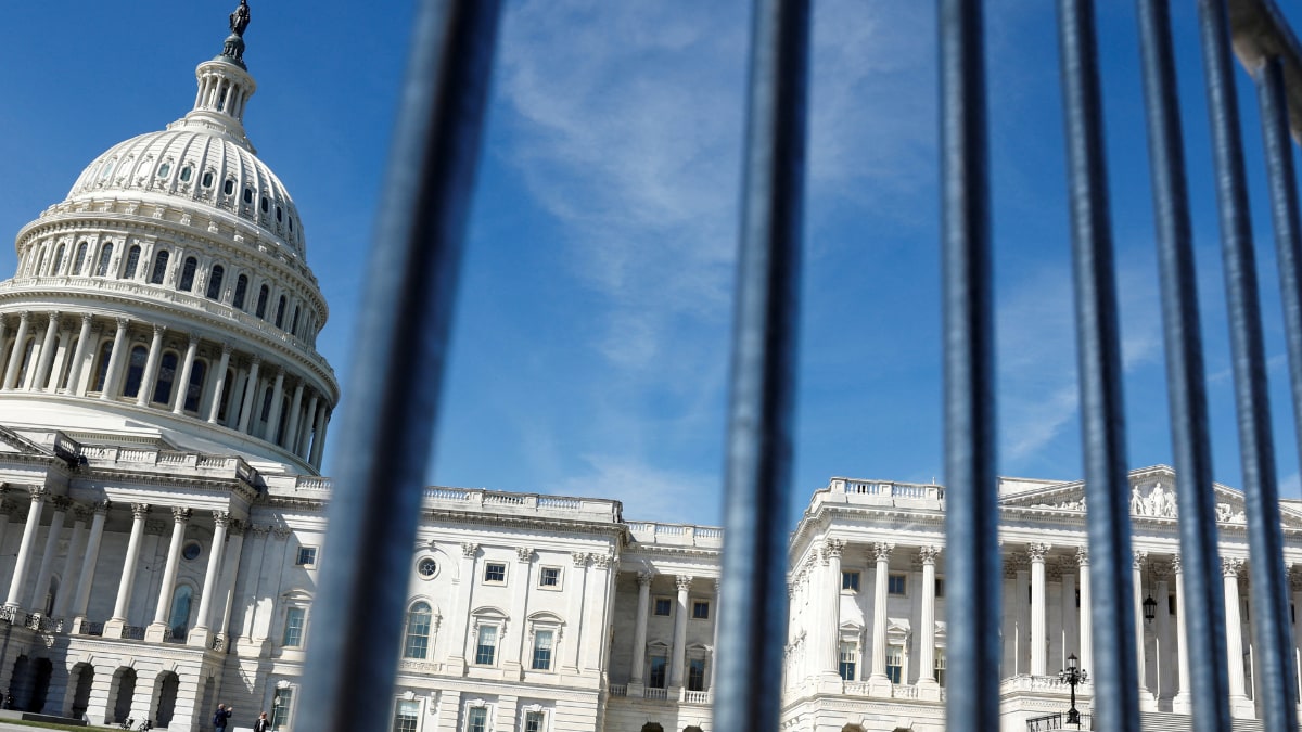 TikTok Users Descend on US Capitol to Protest Proposals to Ban Chinese App