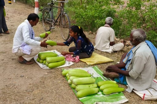 Farmers pluck vegetables from the field and keep them on the side of the road so people can see fresh produce on the move and buy them at market rates. (Image: News18)