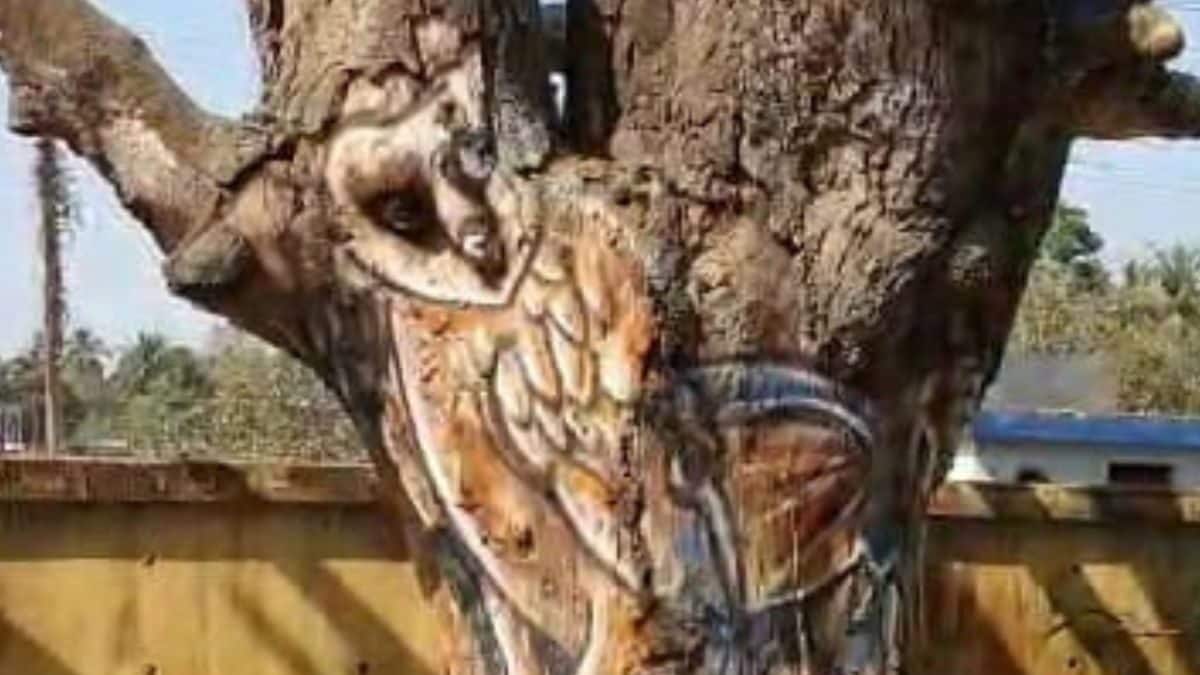 West Bengal Artist Wins Hearts by Decorating Tree Trunks With Beautiful Paintings