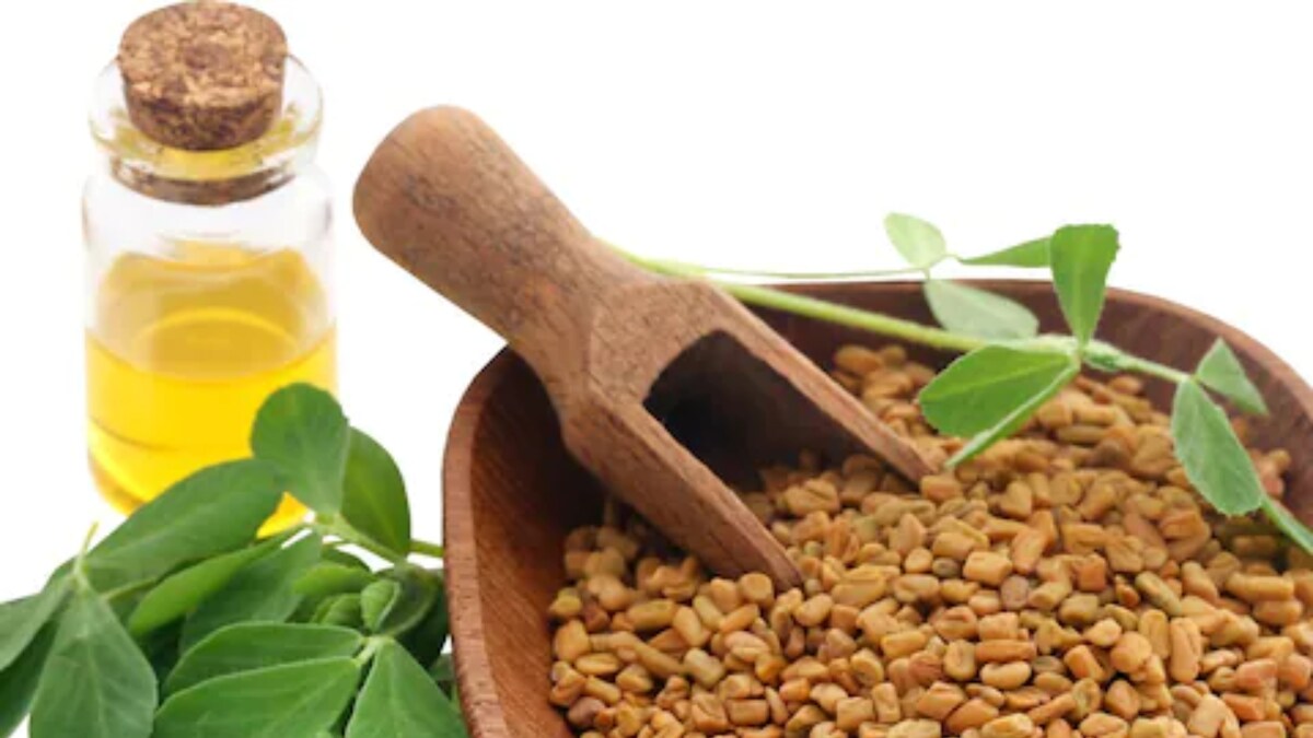 How Much Fenugreek Is Too Much Fenugreek? Expert Explains News18