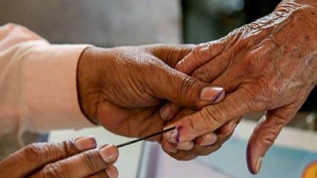 Maha APMC Polls: BJP-backed Panel Wins 13 of 18 Seats in Pune; All 4 NCP Nominees Emerge Victorious in Baramati