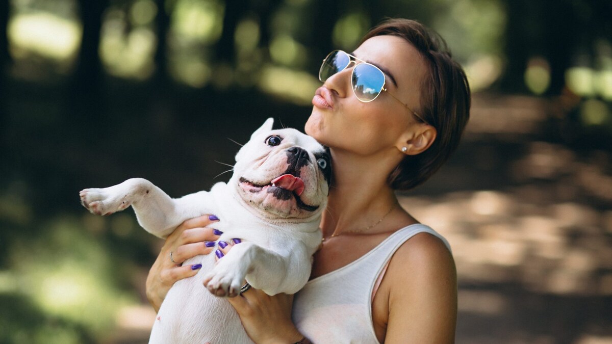 How To Keep Your Pet Safe From Summer Heat