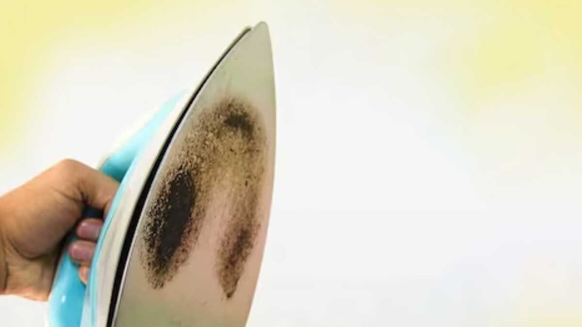 How To Make Your Steam Iron Shiny Again? Follow These 4 Steps News18