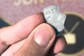 Hard To Swallow: Gum Chewed By Robert Downey Jr Up For Sale; Bids Start At Rs 32 lakh