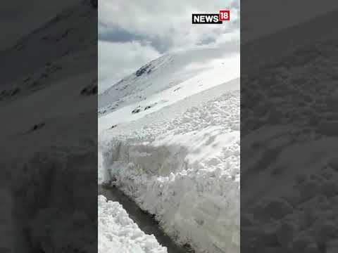 Avalanche Hits Zojila Pass in Kargil, Many Vehicles Buried Under Snow