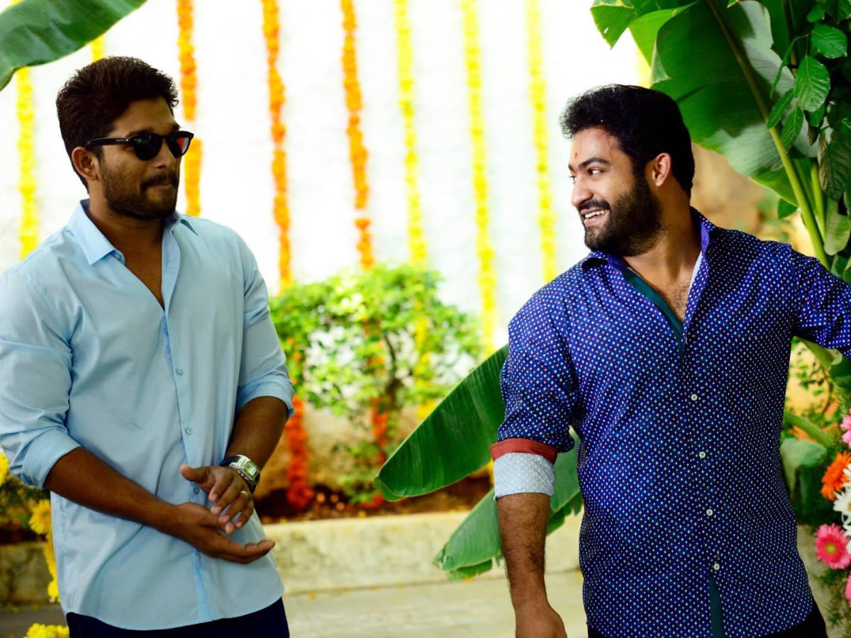 Allu Arjun Sends Jr NTR Hugs In Return of Birthday Wishes, RRR Star Replies 'Only Hugs? Where's The...' | Movies News - News18