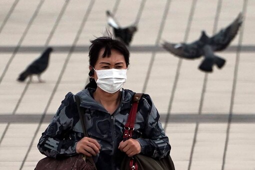 Who Says First H3n8 Bird Flu Death Recorded In China News18