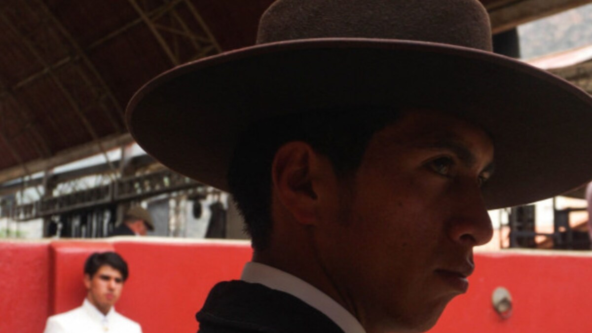 'Look Brave': Children Taught Bullfighting At Venezuelan Torero School - Vimarsana News