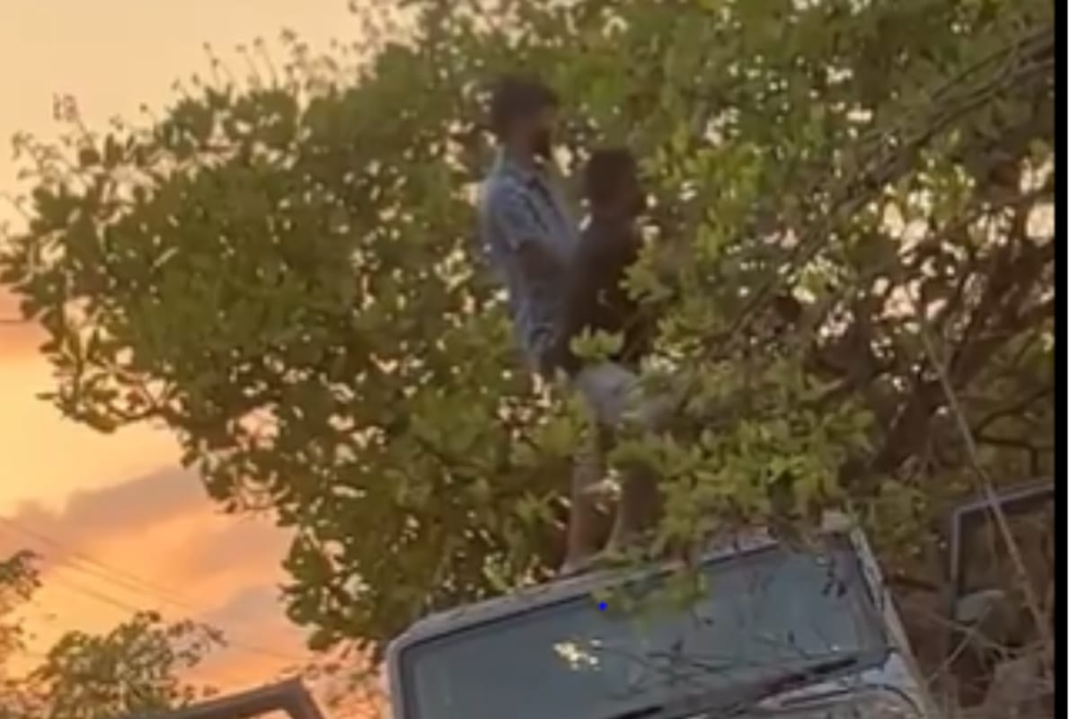 Clip Of 'Desi Tourists' Jumping On Rental Thar Makes Twitter Angry - News18