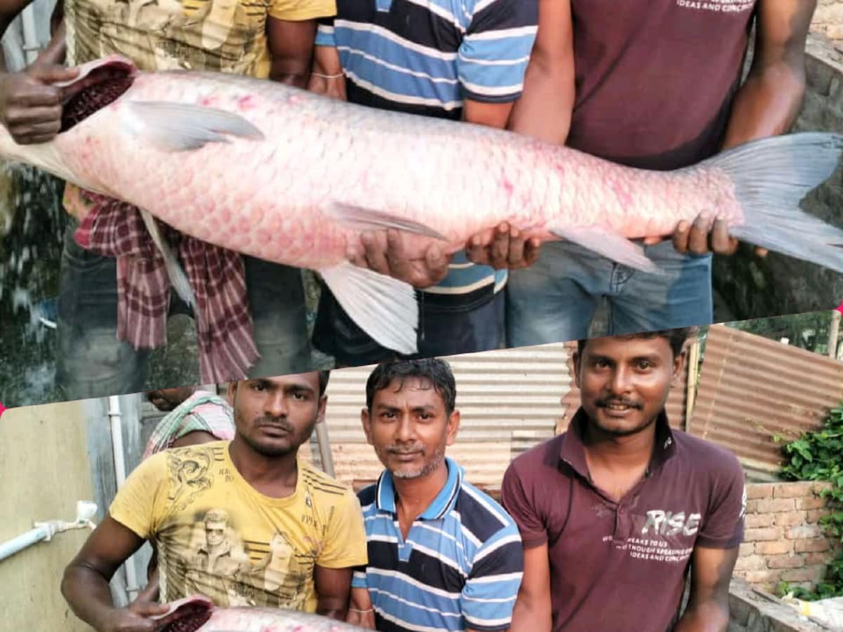 Fishermen catch fish with a huge fishing net with a length of
