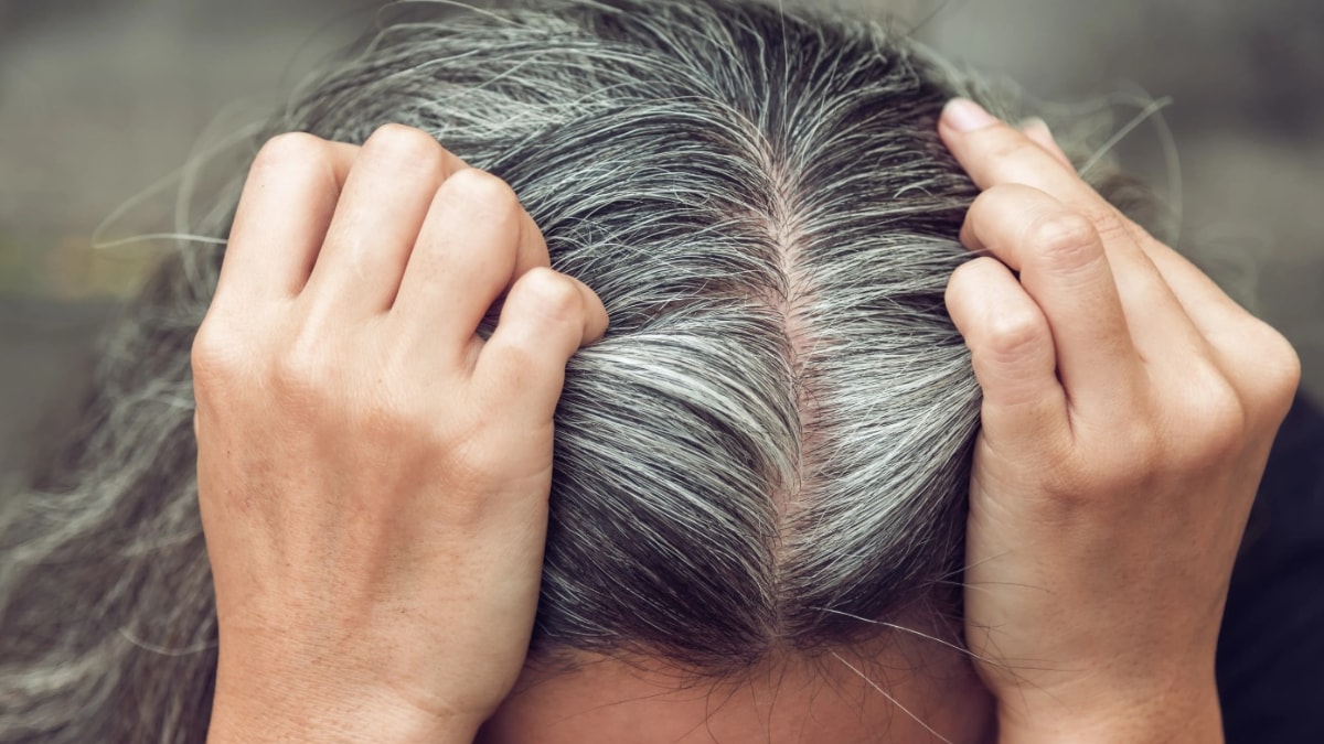 Man Hair Style Black White Color Stock Photo 1273796392  Shutterstock