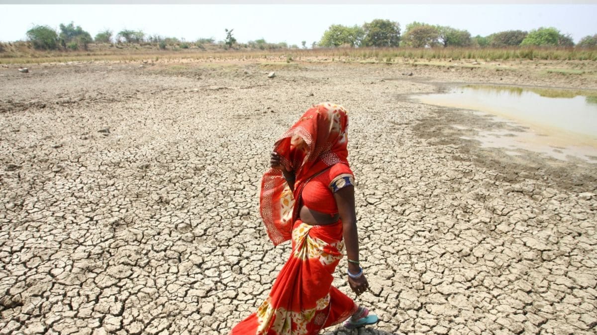 Rajasthan Heatwave Warning Issued for Jodhpur, Bikaner Divisions on