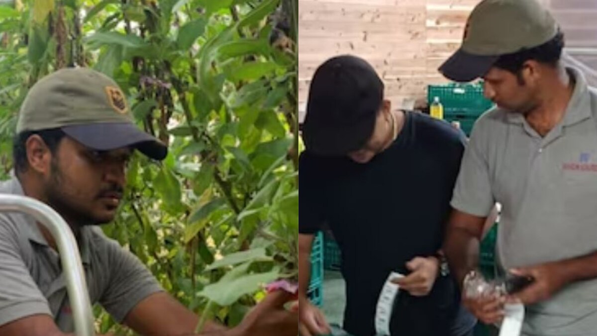 Infosys Engineer Quits Job to Become Brinjal Farmer in Japan, Earns Double the Income