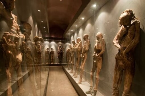 Mummies May Pose Health Risks To Visitors, Mexican Experts Warn ...