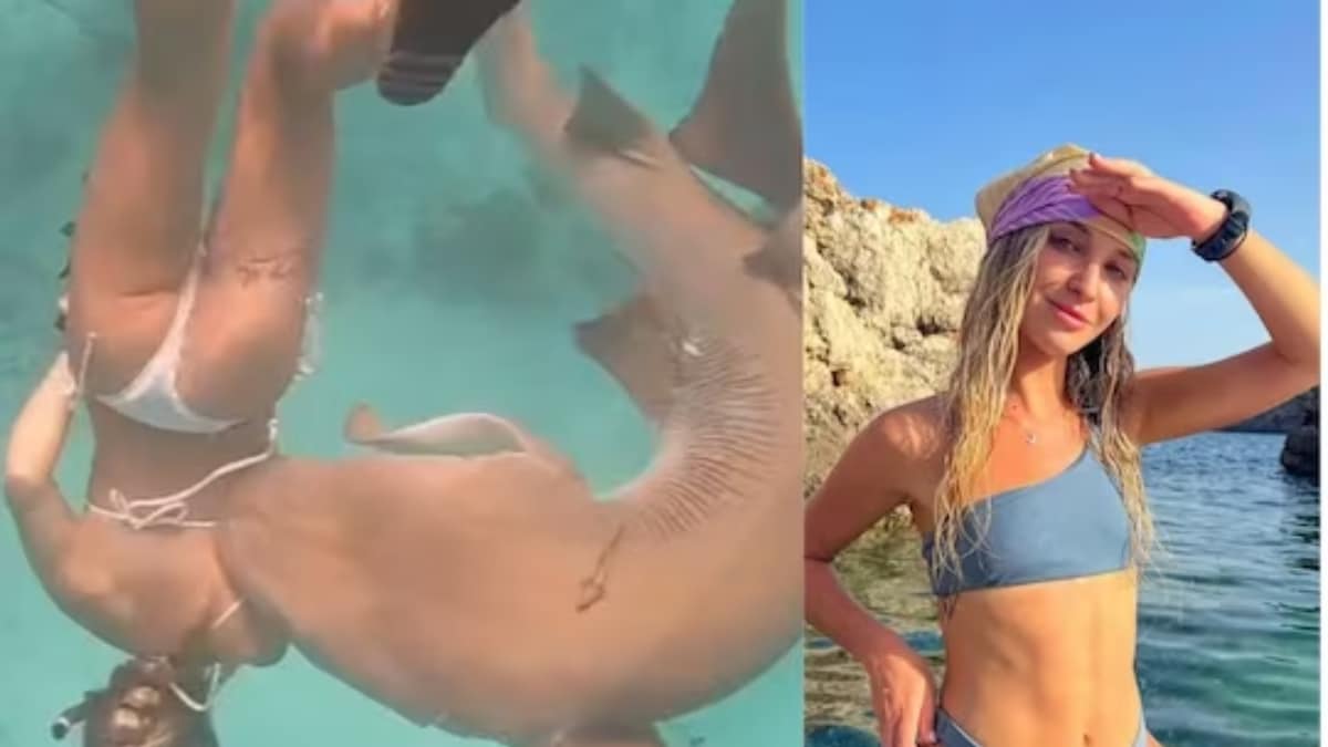 Watch: Woman, Attacked By Shark In Maldives, Gets 6-Inch Bite Mark On Her Back - Vimarsana News