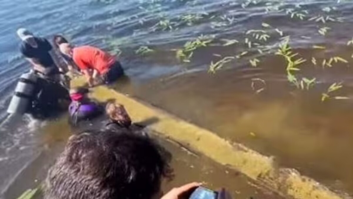 Boys Group Finds 1,000-Year-Old Native American Canoe On North Carolina Shores - Vimarsana News