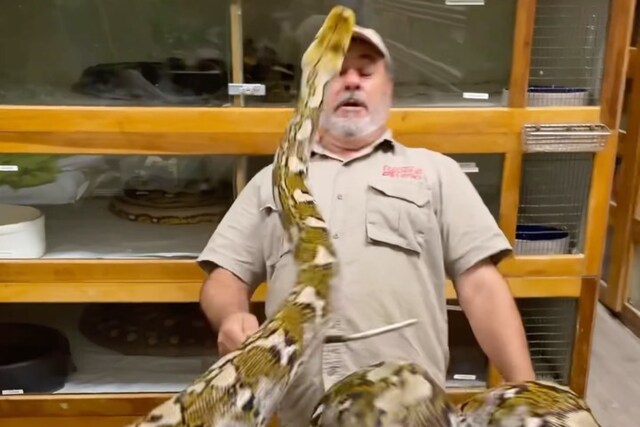 'Like Keanu Reeves Dodging Bullets’: Clip Shows Zookeeper Avoiding ...