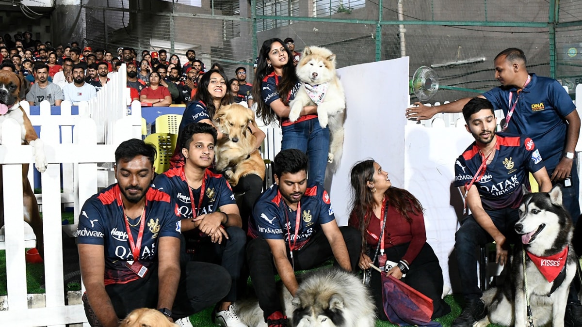 Royal Challengers Bangalore Share Unique Plan to Celebrate National Pet Day