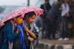 Unseasonal Rains Damage Standing, Harvested Crops in Telangana