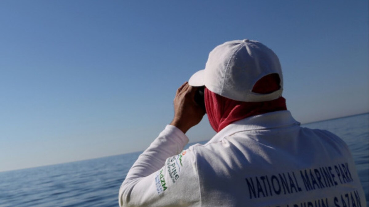 Albania Pushes Out Boat to Save World's Rarest Seal News18