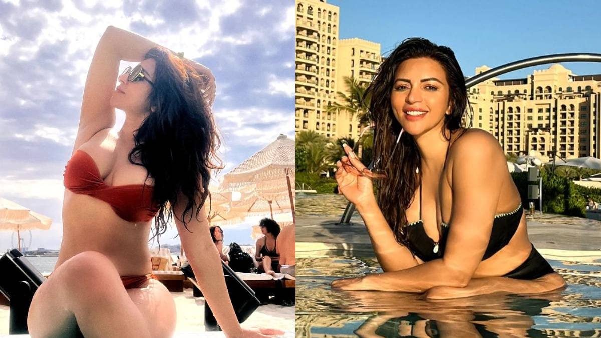 Shama Sikander Makes Jaws Drop In Sexy Brown Bikini, Check Out The Diva’s Hottest Swimwear Pictures