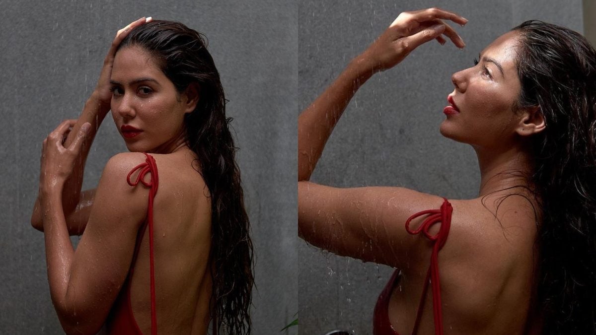 Sonam Bajwa Sizzles In a Sexy Red Backless Outfit In Her Latest Shower  Pics; DARE NOT TO MISS! - News18