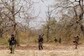 Chhattisgarh: 11 Jawan Killed in Naxal Attack in Dantewada's Aranpur