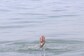 Two Teenage Girls Drown in Yamuna River in UP's Prayagraj