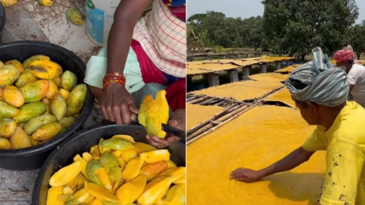 How 'Aam Papad' is Made? Viral Video of Desis' Favourite Summer Treat Upsets Internet