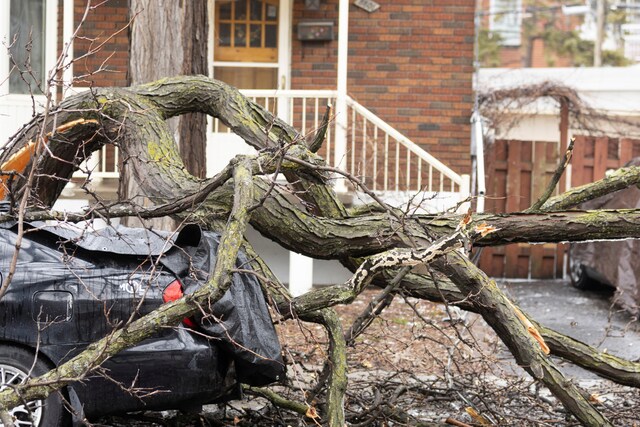 Canada Ice Storm: Strong Winds Knock Out Power for Over a Million ...