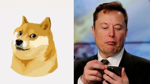 Elon Musk Changes Twitter's Blue Bird Logo With 'Doge' Meme: Here's How ...