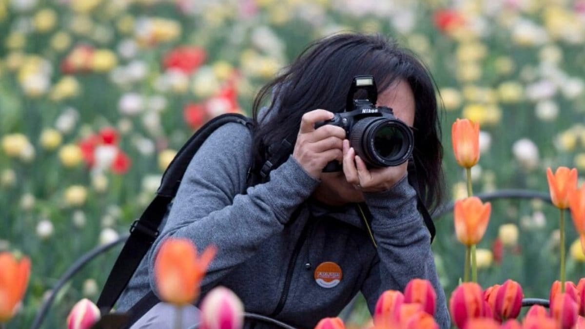 ‘Sight & Shoot’ on Cameras: 30 Indian Cities to Participate in International Bio-Blitz