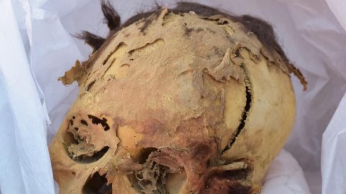 Ancient Teenage Mummy Found in Peru: What Secrets Does it Hold?