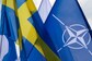 What Would it Mean if Ukraine Joined NATO? Explained