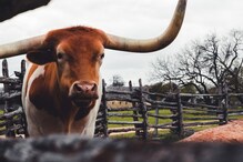 Texas Is The Worst US State To Live And Work In, Reveals Study