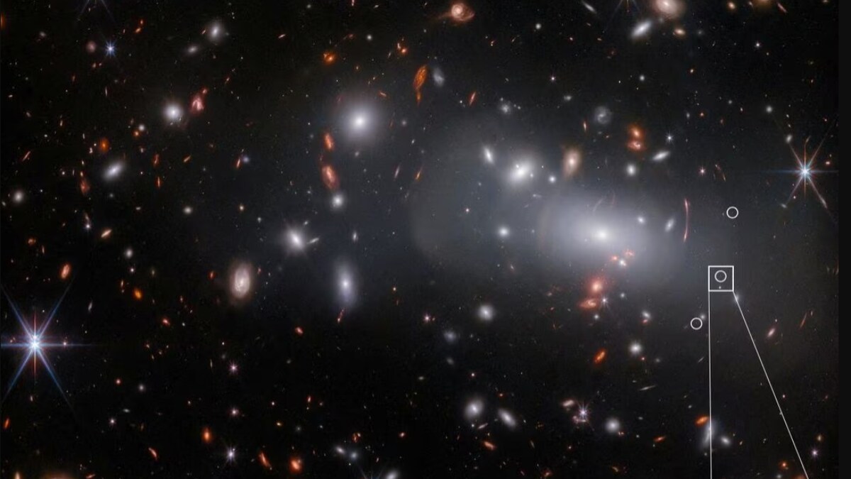 Compact Galaxy's Discovery Shows Webb Telescope's 'Amazing' Power - Vimarsana News
