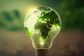 Appealing to Conscious Consumers: The Power of Sustainable Brands