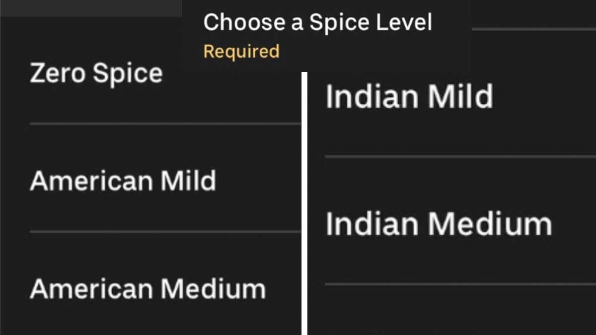 Indian Spicy To American Medium: Desi Eatery In US Has Spice-O-Meter On Menu - Vimarsana News