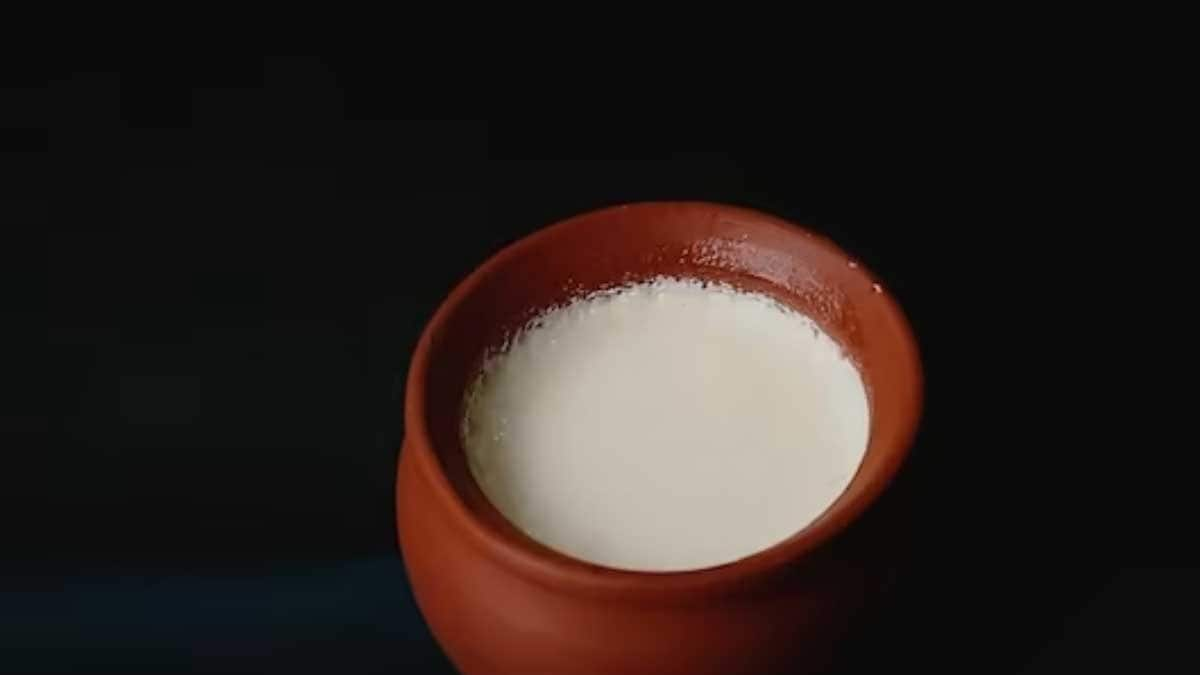 7 Easy Tips To Make Market-Like Thick Curd At Home