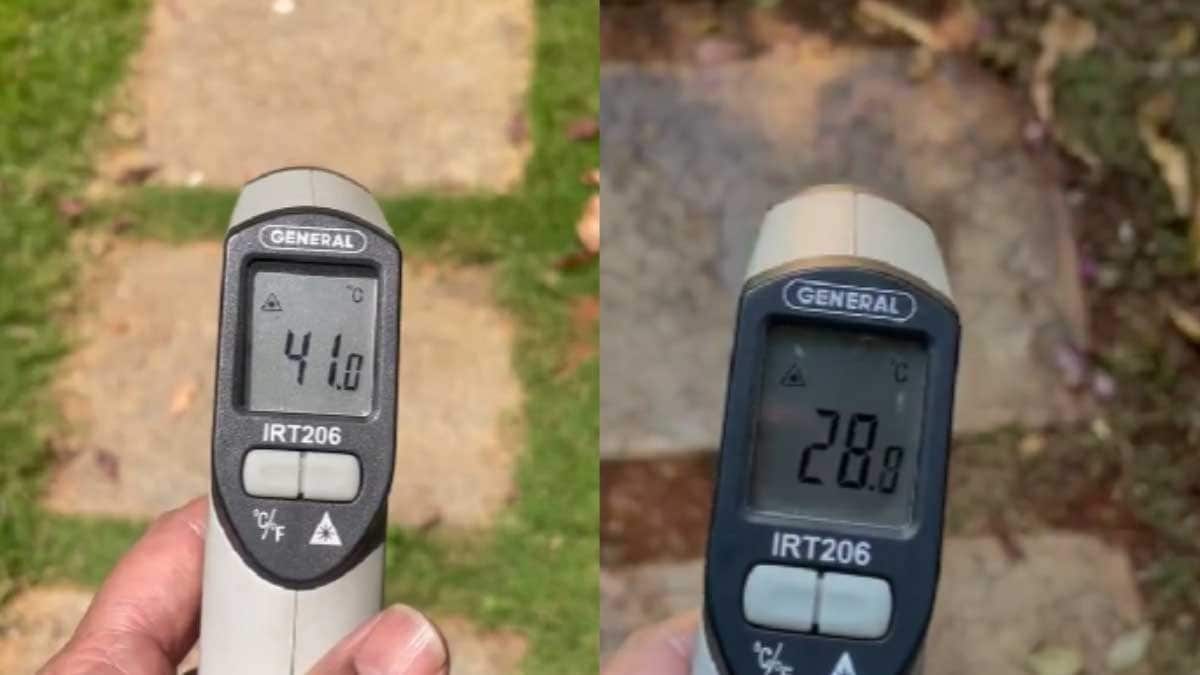 How To Beat Heat Without AC? This Woman Has The Perfect Answer - Vimarsana News