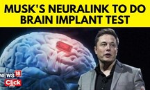 Elon Musk's Neuralink Gets FDA Approval For Study Of Brain | Elon Musk Neuralink Human Trials