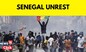 Senegal News | Senegal Unrest Flares Again Over Opposition Leader | English News | News18 Exclusive
